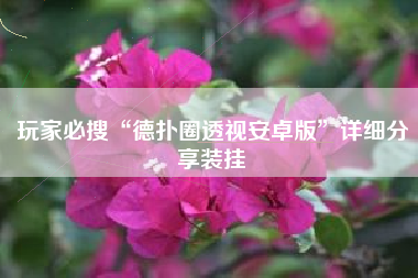 玩家必搜“德扑圈透视安卓版”详细分享装挂