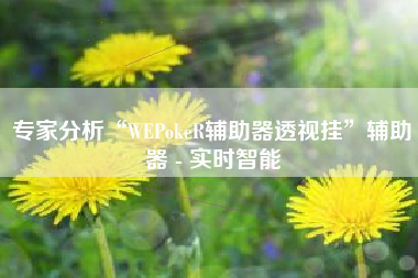 专家分析“WEPokeR辅助器透视挂”辅助器 - 实时智能