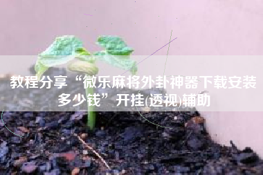 教程分享“微乐麻将外卦神器下载安装多少钱	”开挂(透视)辅助