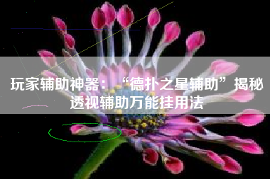 玩家辅助神器：“德扑之星辅助”揭秘透视辅助万能挂用法