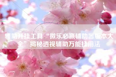 辅助开挂工具“微乐必赢辅助器版本大全	”揭秘透视辅助万能挂用法