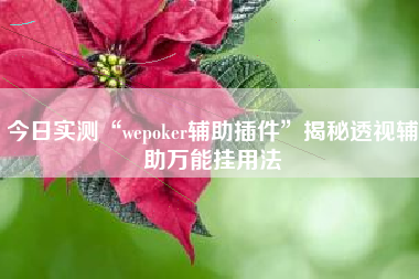 今日实测“wepoker辅助插件”揭秘透视辅助万能挂用法