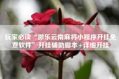 玩家必读“微乐云南麻将小程序开挂免费软件”开挂辅助脚本+详细开挂