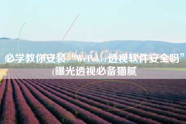 必学教你安装“WePoker透视软件安全吗	”(曝光透视必备猫腻