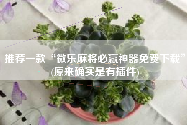 推荐一款“微乐麻将必赢神器免费下载”(原来确实是有插件)