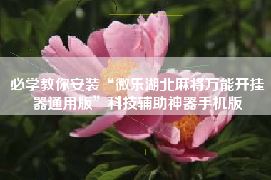 必学教你安装“微乐湖北麻将万能开挂器通用版”科技辅助神器手机版