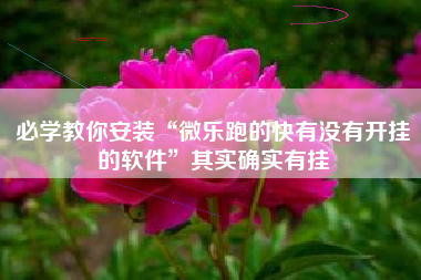 必学教你安装“微乐跑的快有没有开挂的软件	”其实确实有挂