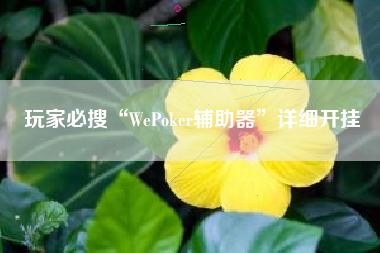 玩家必搜“WePoker辅助器”详细开挂
