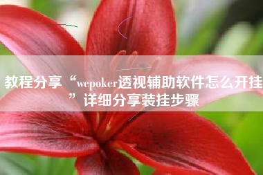 教程分享“wepoker透视辅助软件怎么开挂	”详细分享装挂步骤