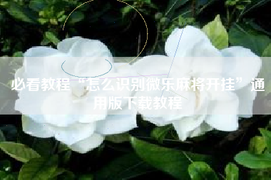 必看教程“怎么识别微乐麻将开挂”通用版下载教程