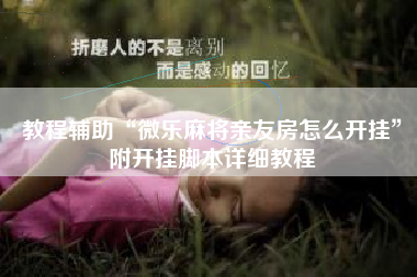 教程辅助“微乐麻将亲友房怎么开挂”附开挂脚本详细教程