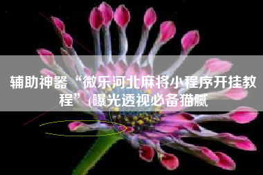 辅助神器“微乐河北麻将小程序开挂教程”(曝光透视必备猫腻