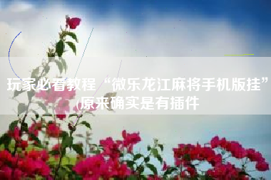 玩家必看教程“微乐龙江麻将手机版挂”(原来确实是有插件