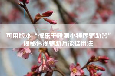 可用版本“微乐干瞪眼小程序辅助器	”揭秘透视辅助万能挂用法
