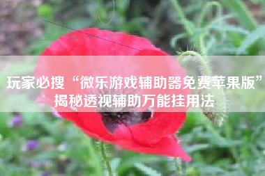 玩家必搜“微乐游戏辅助器免费苹果版	”揭秘透视辅助万能挂用法