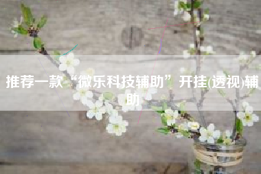 推荐一款“微乐科技辅助”开挂(透视)辅助