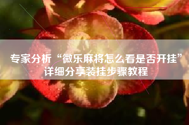 专家分析“微乐麻将怎么看是否开挂”详细分享装挂步骤教程