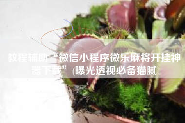 教程辅助“微信小程序微乐麻将开挂神器下载”(曝光透视必备猫腻