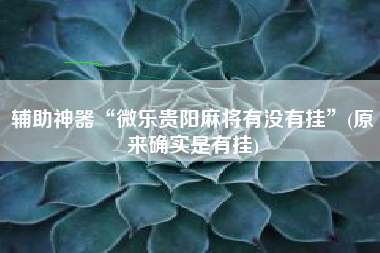 辅助神器“微乐贵阳麻将有没有挂	”(原来确实是有挂)
