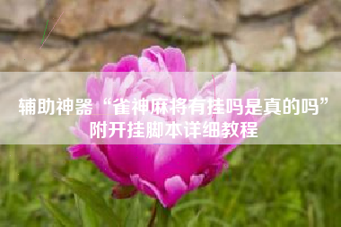 辅助神器“雀神麻将有挂吗是真的吗”附开挂脚本详细教程