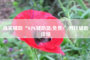 真实辅助“WPK辅助器(免费)	”开挂辅助详细