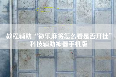 教程辅助“微乐麻将怎么看是否开挂”科技辅助神器手机版