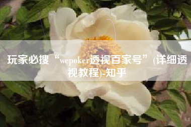 玩家必搜“wepoker透视百家号”(详细透视教程)-知乎