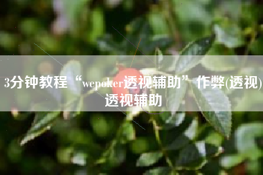 3分钟教程“wepoker透视辅助	”作弊(透视)透视辅助
