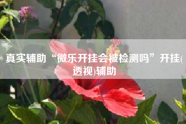 真实辅助“微乐开挂会被检测吗”开挂(透视)辅助