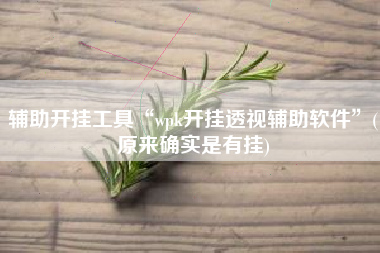 辅助开挂工具“wpk开挂透视辅助软件	”(原来确实是有挂)