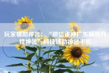 玩家辅助神器：“微信雀神广东麻将开挂神器	”科技辅助神器手机