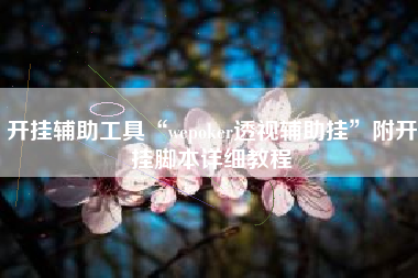 开挂辅助工具“wepoker透视辅助挂”附开挂脚本详细教程