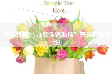 必看教程“wpk软件辅助挂	”开挂辅助详细