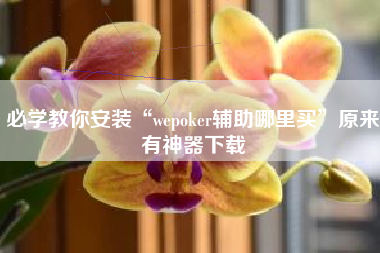 必学教你安装“wepoker辅助哪里买”原来有神器下载