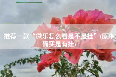 推荐一款“微乐怎么看是不是挂”(原来确实是有挂)
