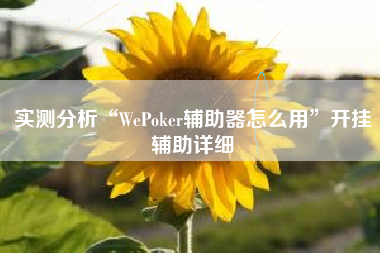 实测分析“WePoker辅助器怎么用”开挂辅助详细