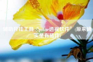辅助开挂工具“poker透视软件	”(原来确实是有插件)