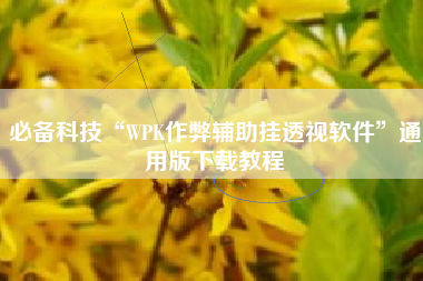 必备科技“WPK作弊辅助挂透视软件”通用版下载教程