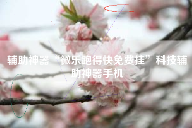 辅助神器“微乐跑得快免费挂”科技辅助神器手机