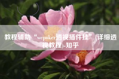 教程辅助“wepoker透视插件挂”(详细透视教程)-知乎