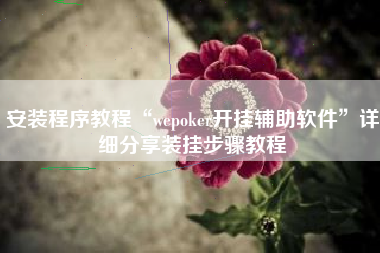 安装程序教程“wepoker开挂辅助软件	”详细分享装挂步骤教程