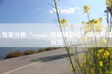 专家分析“wepoker透视辅助挂”详细开挂玩法
