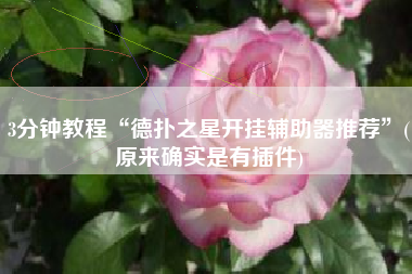 3分钟教程“德扑之星开挂辅助器推荐”(原来确实是有插件)