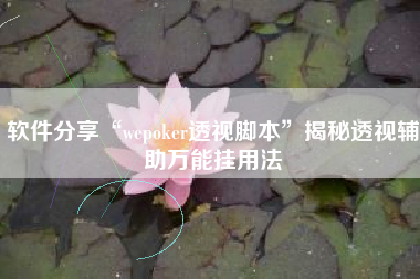 软件分享“wepoker透视脚本”揭秘透视辅助万能挂用法