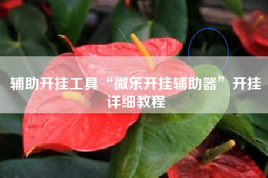 辅助开挂工具“微乐开挂辅助器	”开挂详细教程