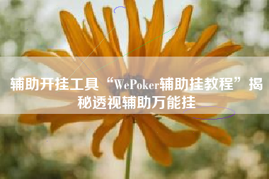 辅助开挂工具“WePoker辅助挂教程	”揭秘透视辅助万能挂