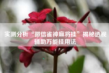 实测分析“微信雀神麻将挂”揭秘透视辅助万能挂用法