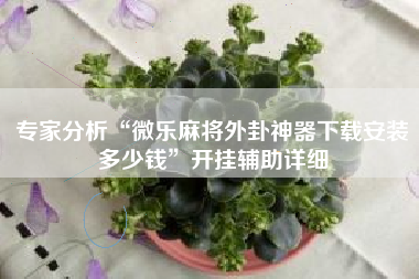 专家分析“微乐麻将外卦神器下载安装多少钱	”开挂辅助详细