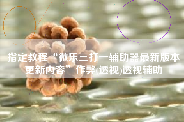 指定教程“微乐三打一辅助器最新版本更新内容”作弊(透视)透视辅助