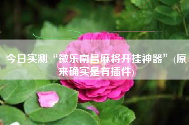 今日实测“微乐南昌麻将开挂神器”(原来确实是有插件)